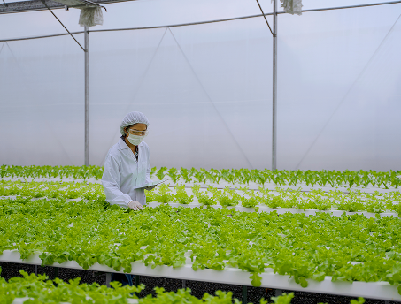Organic Food Producer