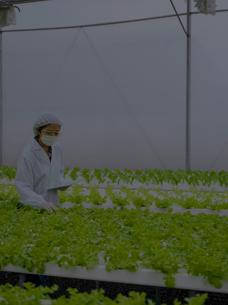 Organic Food Producer